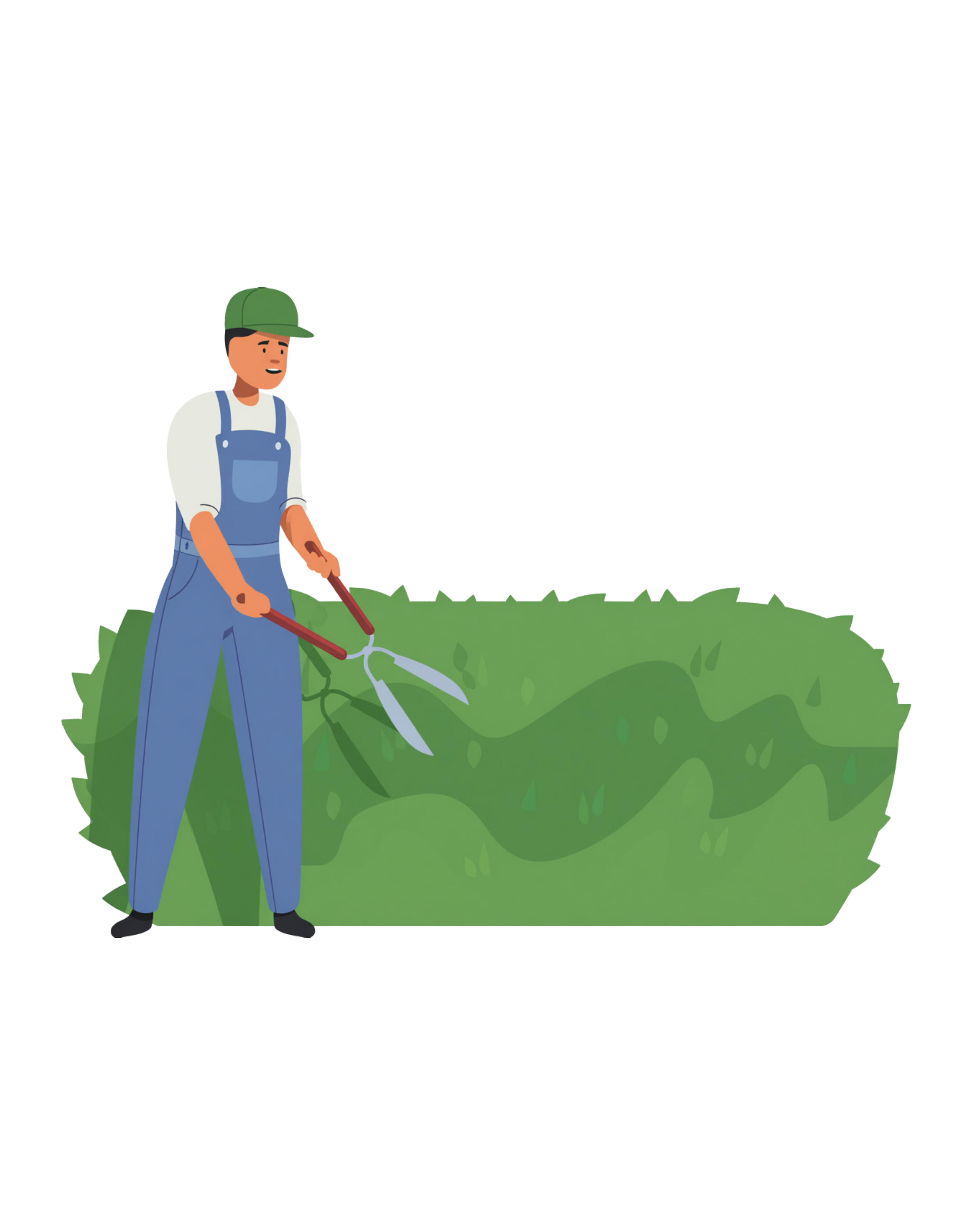 Hedge trimming illustration